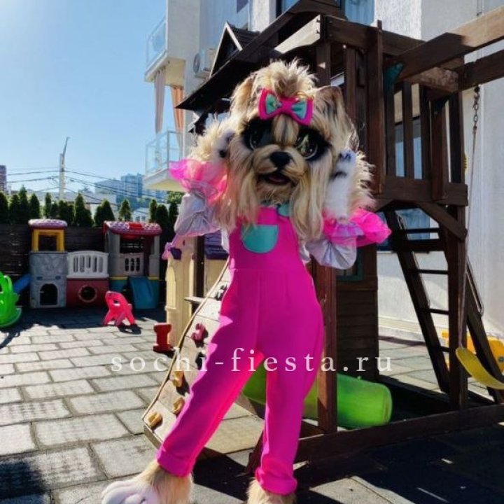 Аниматор Гламурная Собака в Воронеже