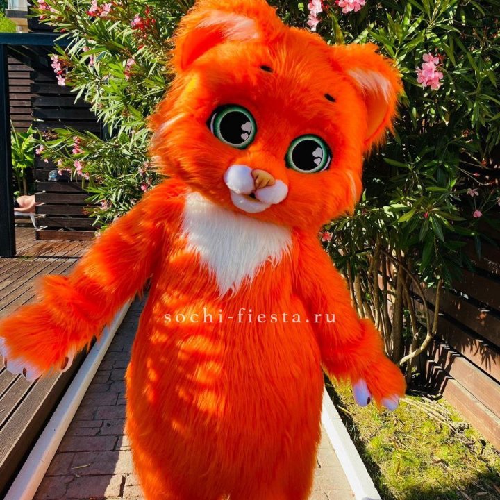 Аниматор Котик в Воронеже