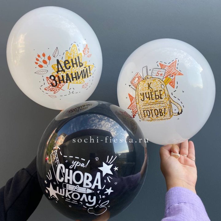 Воздушный шар к 1 сентября в Воронеже
