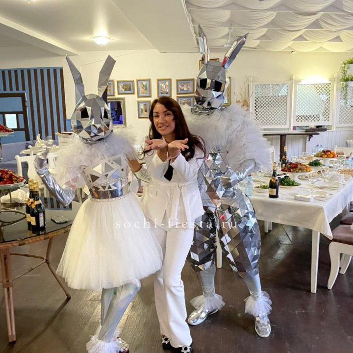 Аниматор Зеркальный заяц в Воронеже