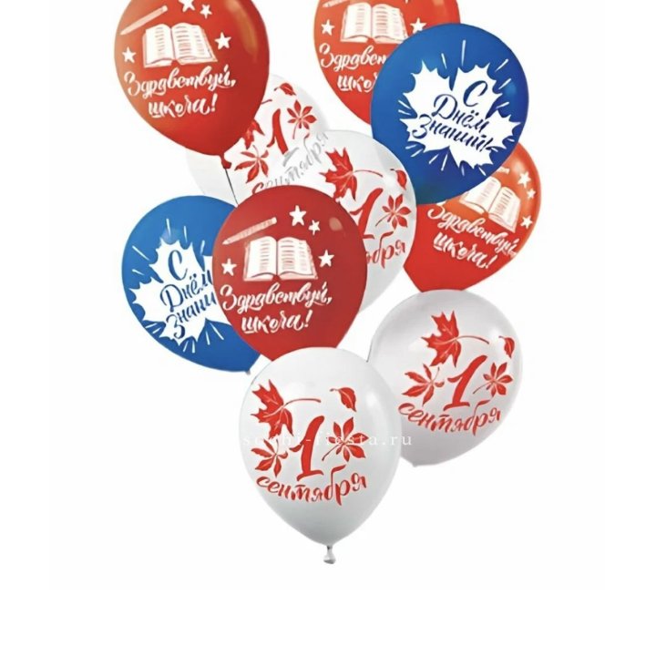 Воздушный шар на день знаний в Воронеже