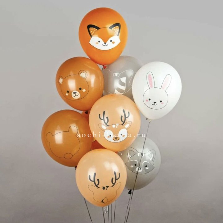 Воздушный шар "Животные" в Воронеже