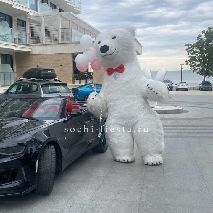 Аниматор Белый Медведь в Воронеже