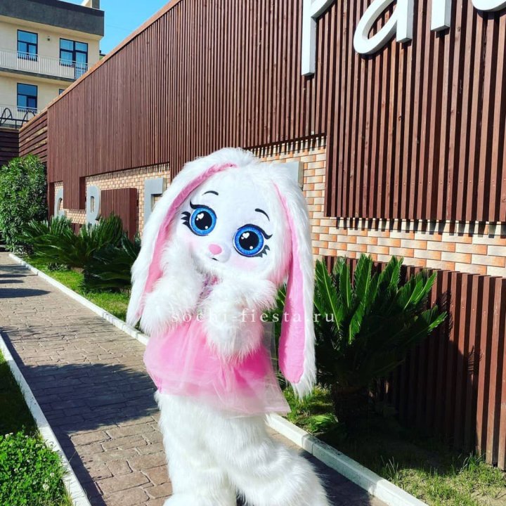 Аниматор Зайка в Воронеже