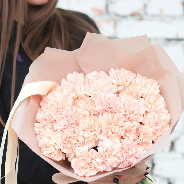 Диантусы №2 в Воронеже