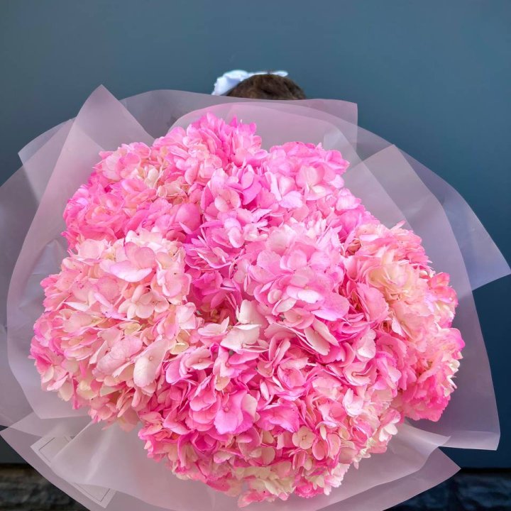 9 ярко розовых гортензий в Воронеже