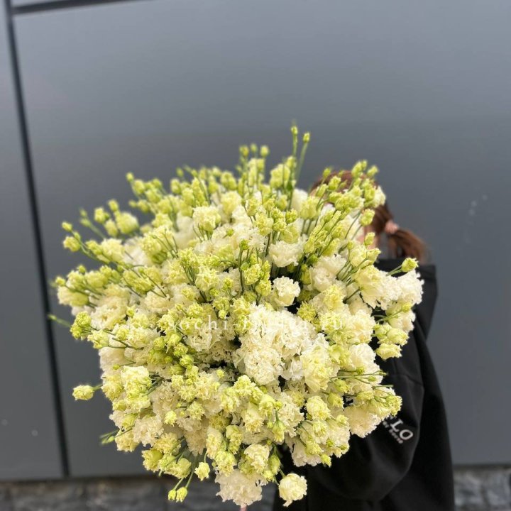 51 белая эустома в Воронеже