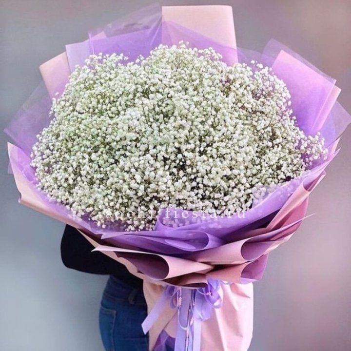 Облако белых гипсофил в Воронеже