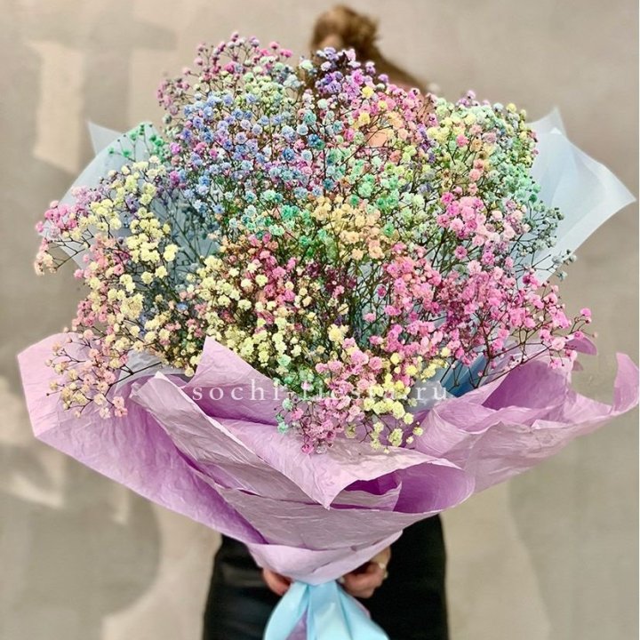 Радужные гипсофилы №2 в Воронеже