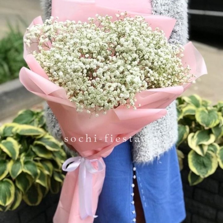 Белоснежные гипсофилы в Воронеже