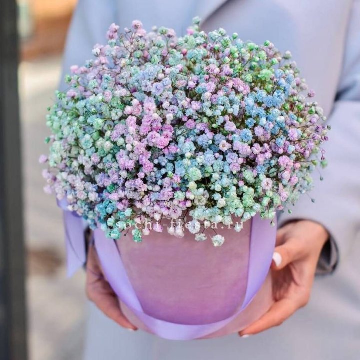 Гипсофилы в шляпной коробке "Кандилайт" в Воронеже