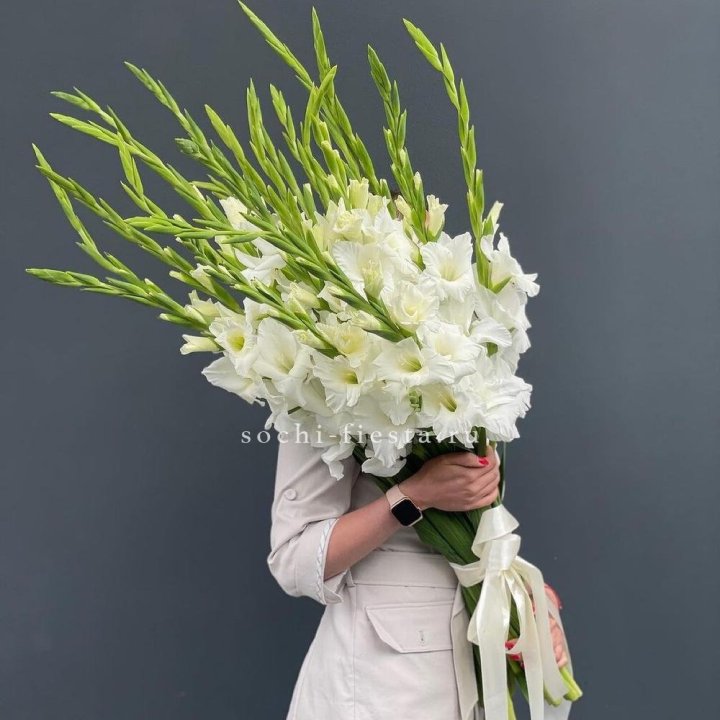 19 белых гладиолусов под ленту в Воронеже