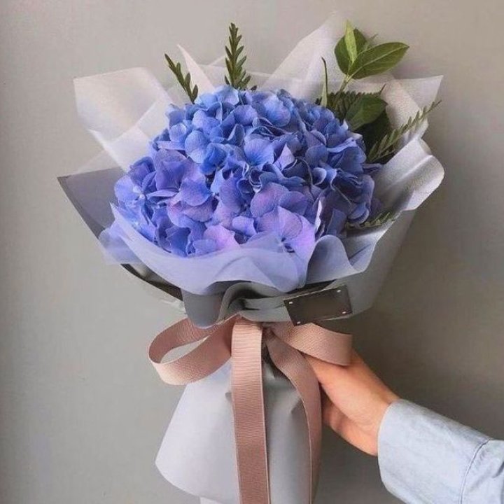 Гортензия голубая в Воронеже