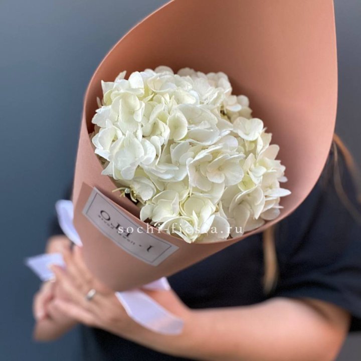Гортензия в конверте в Воронеже