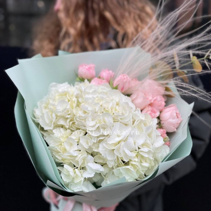 Гортензия "Жасмин" в Воронеже