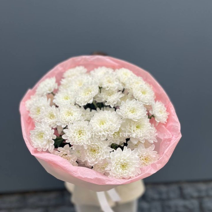  5 хризантем  в Воронеже