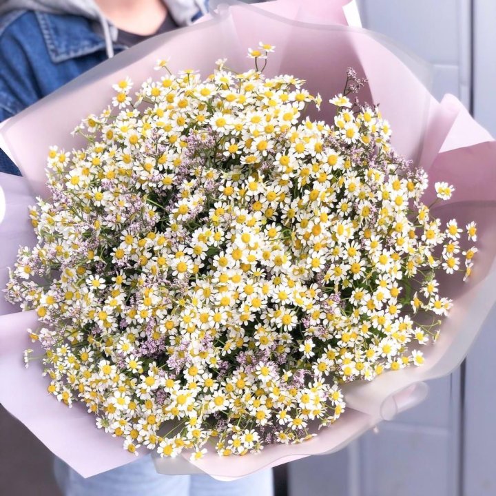 Букет ромашек №1 в Воронеже