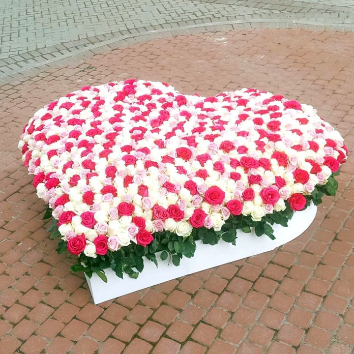 555 роза  в Воронеже