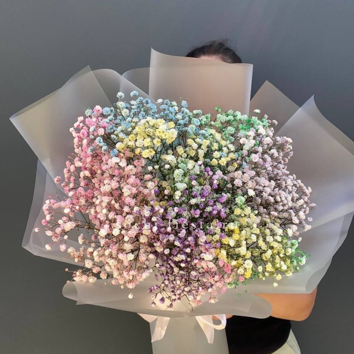 Радужные гипсофилы  в Воронеже