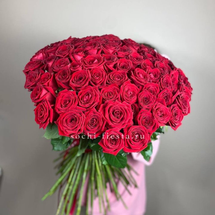 101  голландская роза  в Воронеже