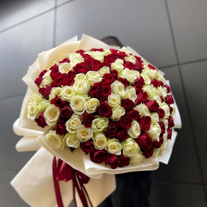 101 высокая импортная роза  в Воронеже