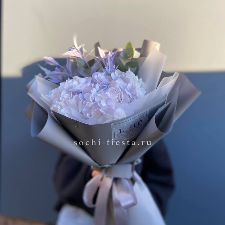 Гортензия "Виолета" в Воронеже
