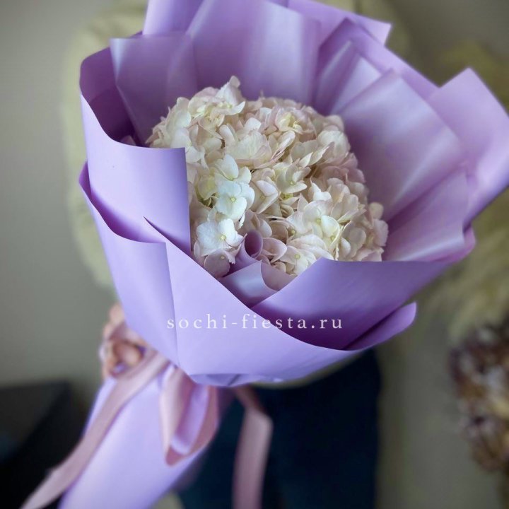 Гортензия розовая в Воронеже