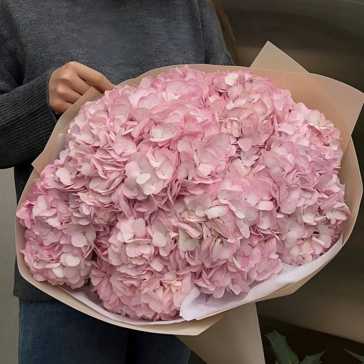 Гортензия  "РОЗЕ" в Воронеже