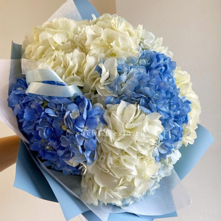 Букет гортензий "Голубая лаза" в Воронеже