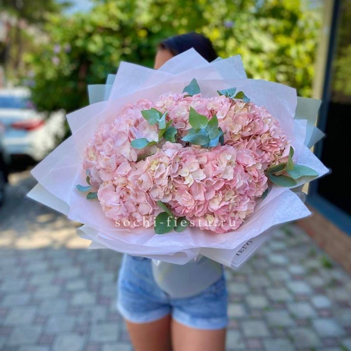 5 розовых гортензий  в Воронеже