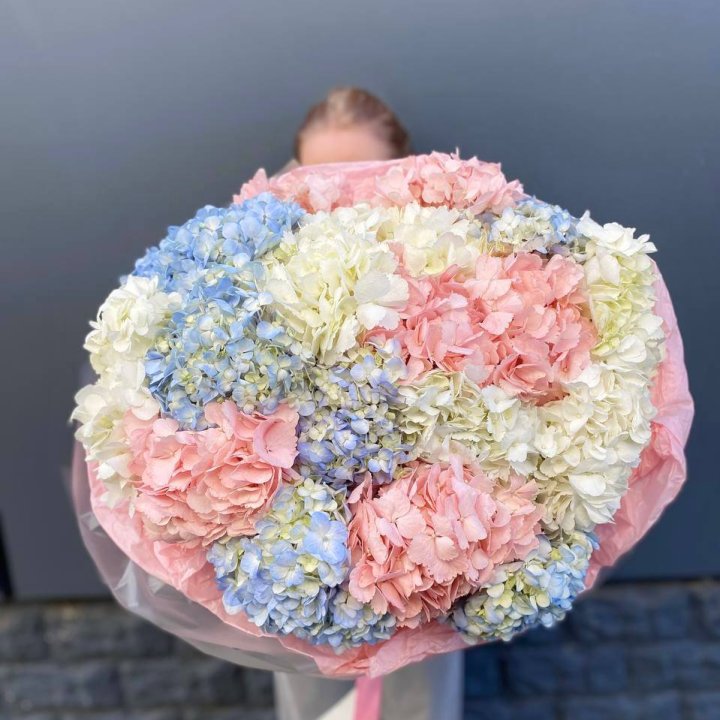 19 гортензий микс в Воронеже