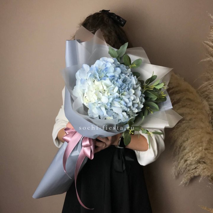 Гортензия Уно в Воронеже