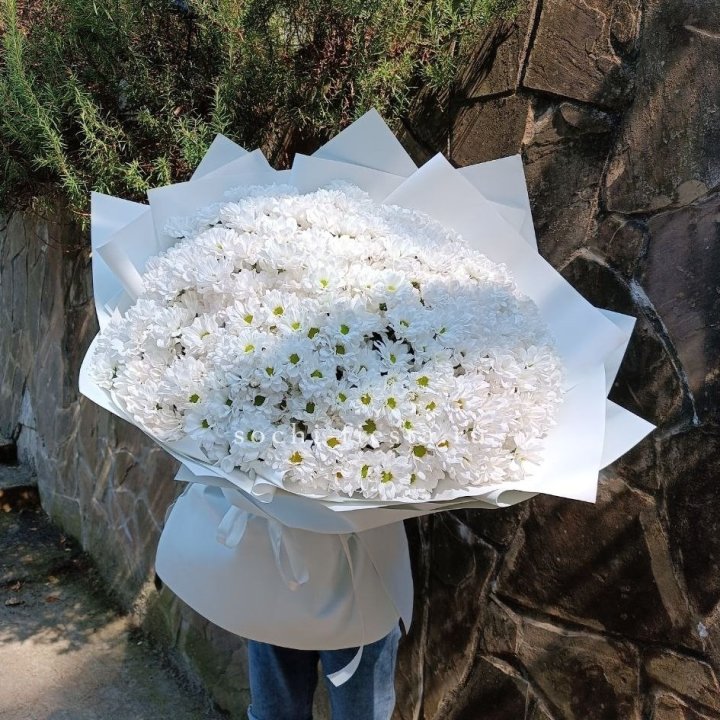 Облако хризантем №2 в Воронеже