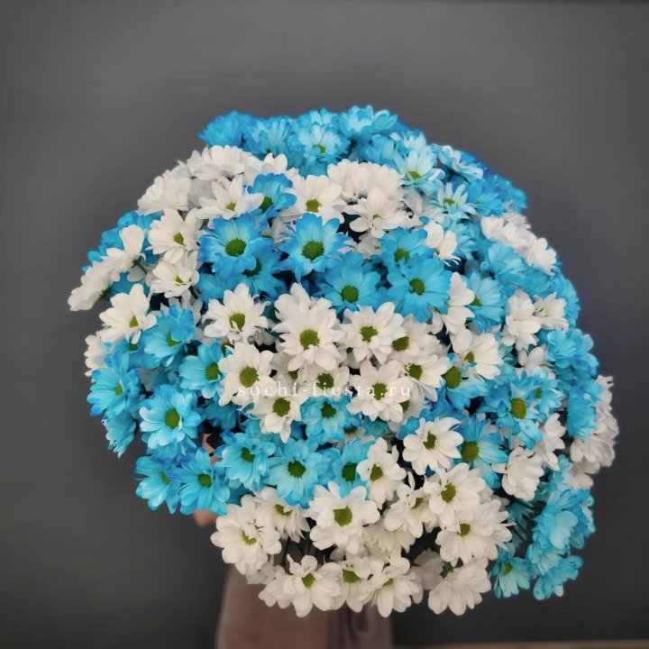  Букет хризантем микс в Воронеже