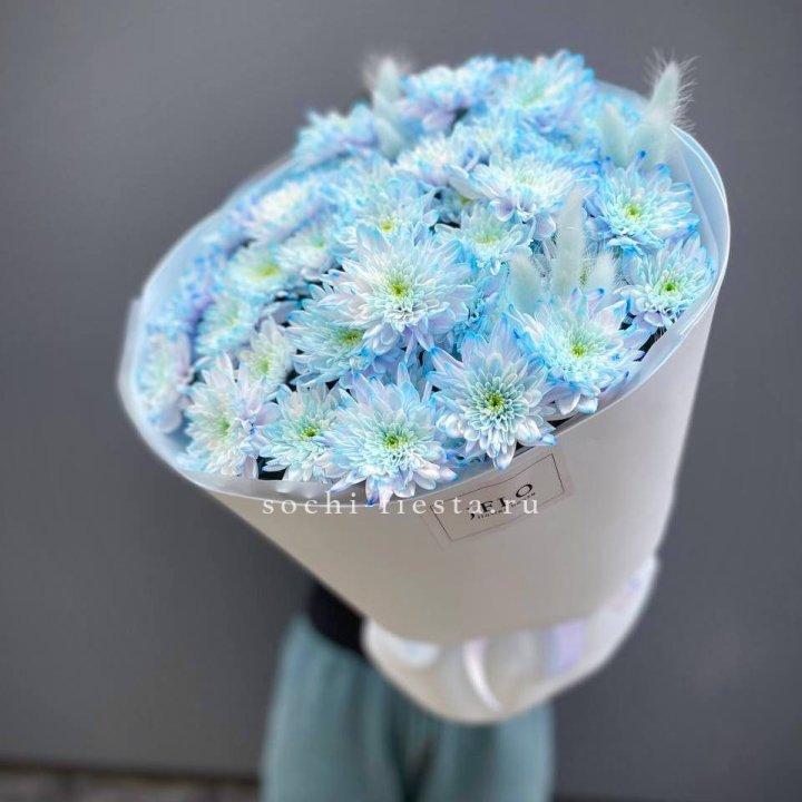  Букет нежно-голубых хризантем  в Воронеже