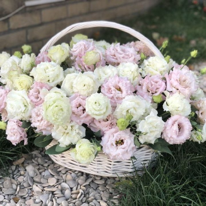 Корзина с эустомой в Воронеже