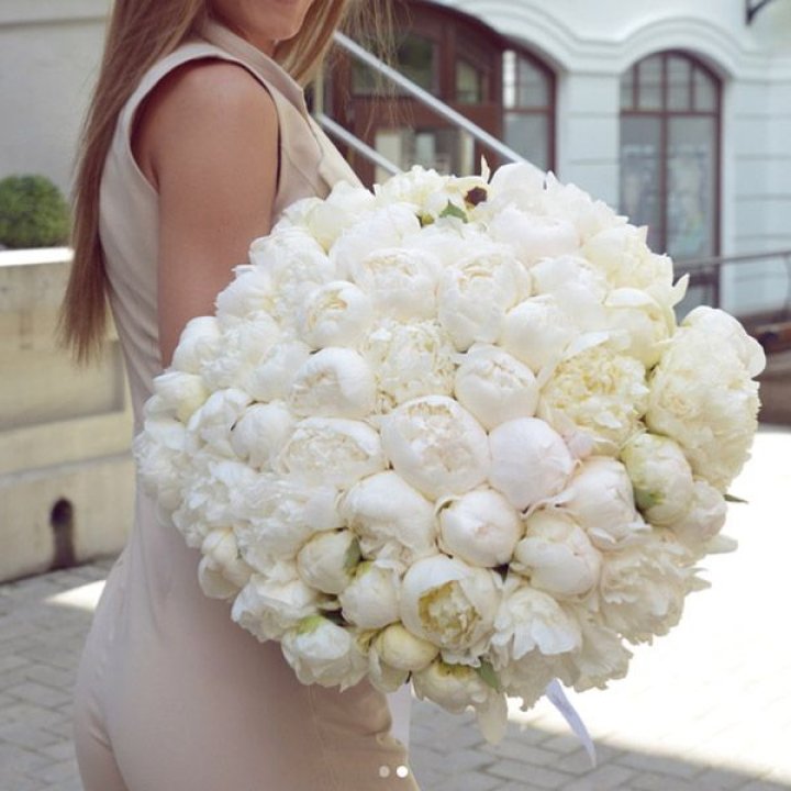 51 белый пион в Воронеже