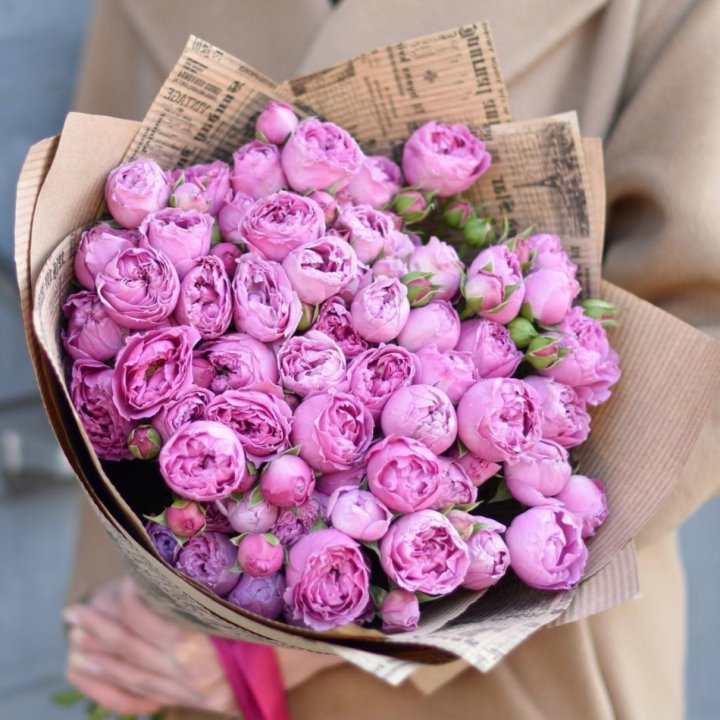 Роза Мисти Баблс в Воронеже