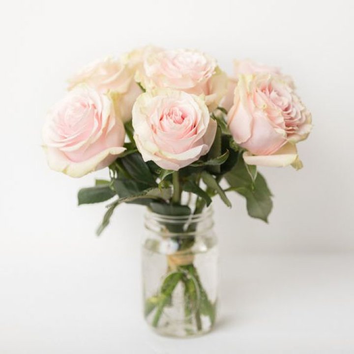 7 кремовых роз в Воронеже