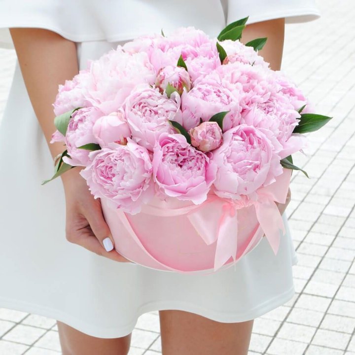 Пионы в шляпной коробке в Воронеже