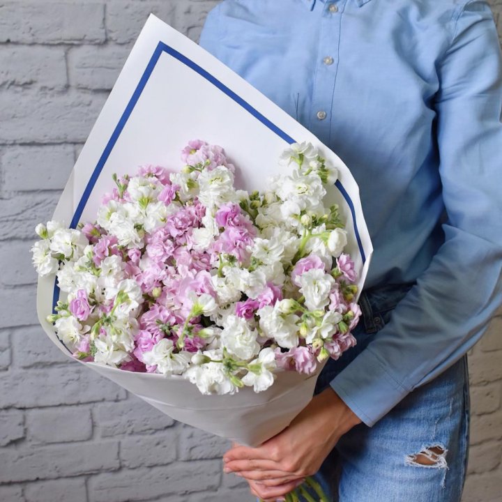 Маттиола в Воронеже