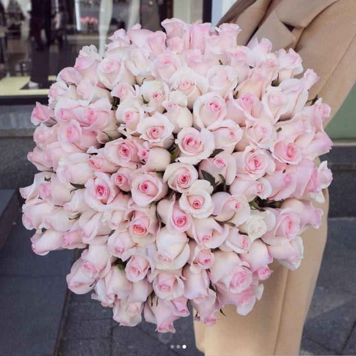 Розы "Пинк бум" в Воронеже