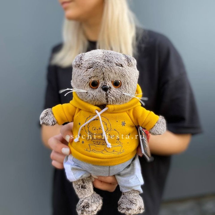 Кот Басик в худи в Воронеже