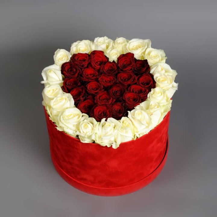 39 красных и белых роз в цилиндре в Воронеже