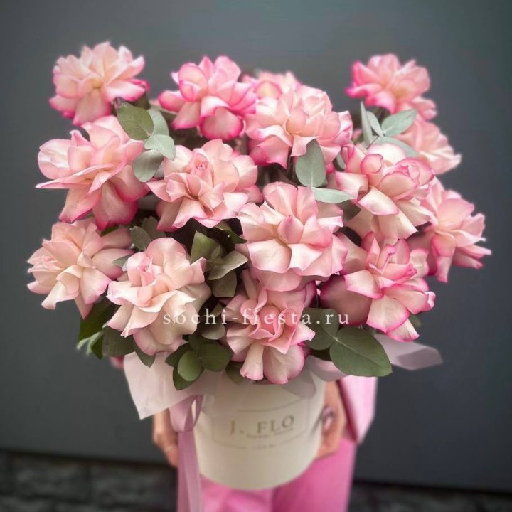 17 Французских  роз Венди в боксе в Воронеже