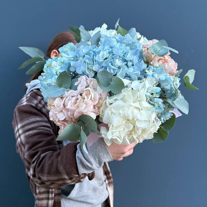 Гортензии в коробочке в Воронеже