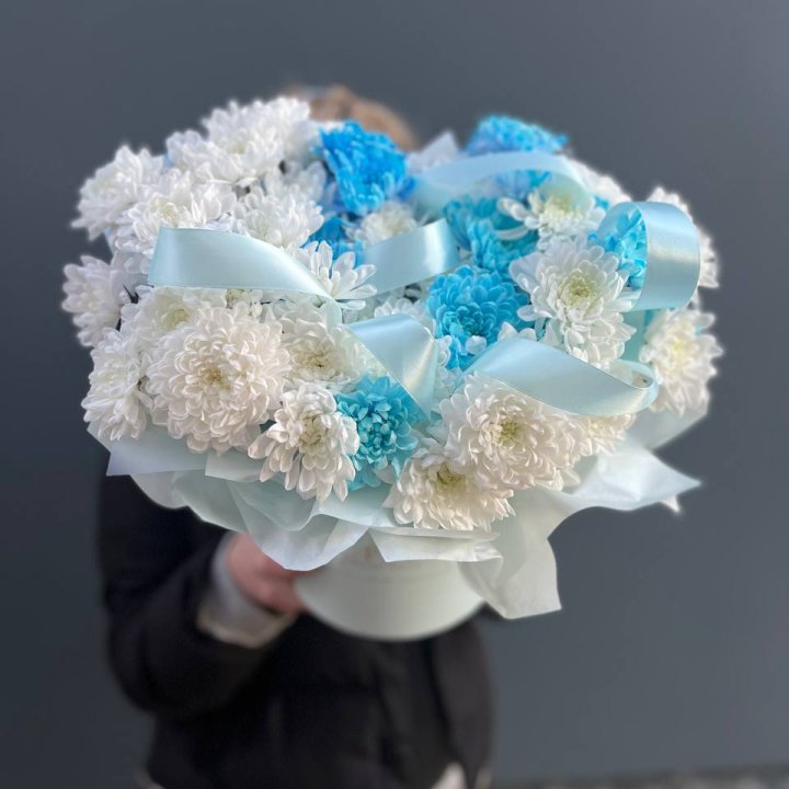 Хризнтемы в боксе в Воронеже