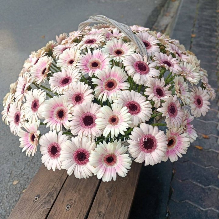 Корзина с герберами  в Воронеже