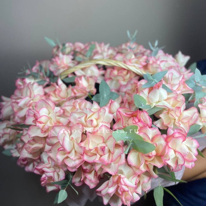 51 джумилия  в корзине   в Воронеже