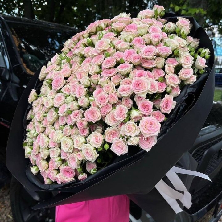 101 кустовая роза "Твистер" в Воронеже